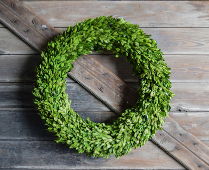 PRESERVED BOXWOOD WREATH - ROUND - 24 INCH