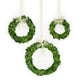 PRESERVED BOXWOOD WREATH - ROUND WITH RIBBON - 3 PIECE SET