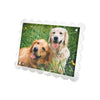 scalloped lucite frame - 6x8"