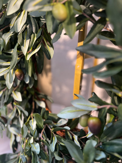 SEEDED EUCALYPTUS & OLIVE WREATH - 24 inch
