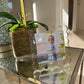 scalloped lucite frame - small
