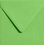 Paddie Square Envelopes